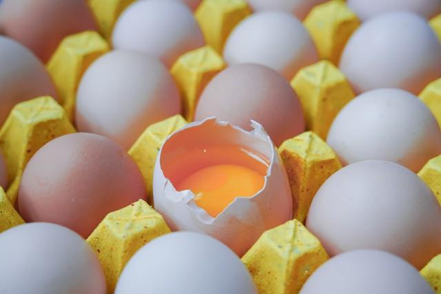 煮熟的鸡蛋常温能放几天（吃鸡蛋对人体有害吗） - 错分资源网