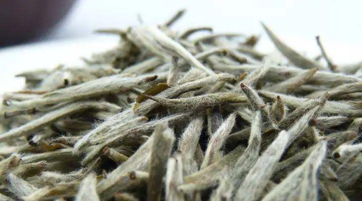 白茶有哪些种类？白茶的种类和区别 - 错分资源网